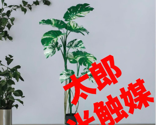 光触媒 人工観葉植物 ウォールグリーン フェイクグリーン モンステラ  