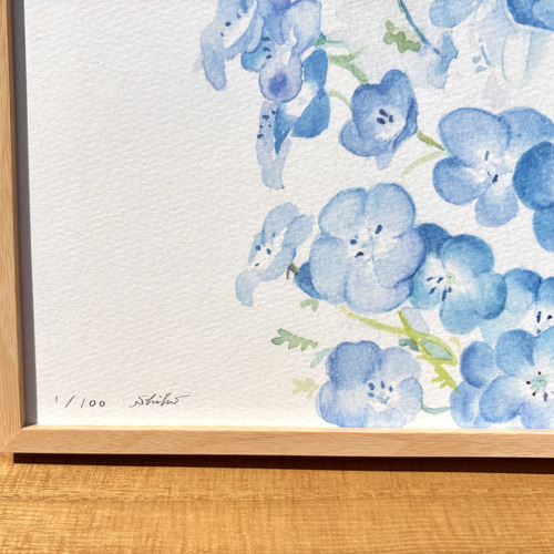 水彩画「ネモフィラ」 複製画 額装•マット付き 絵画 てんまだて しほ