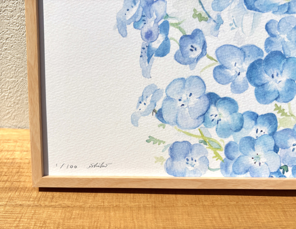 水彩画「ネモフィラ」　複製画　額装•マット付き　 4枚目の画像