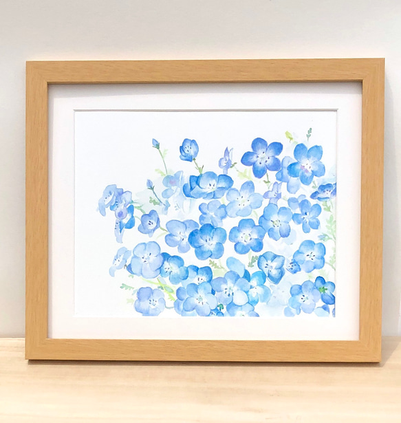 水彩画「ネモフィラ」　複製画　額装•マット付き　 1枚目の画像