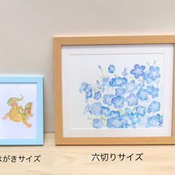 水彩画「ネモフィラ」　複製画　額装•マット付き　 3枚目の画像