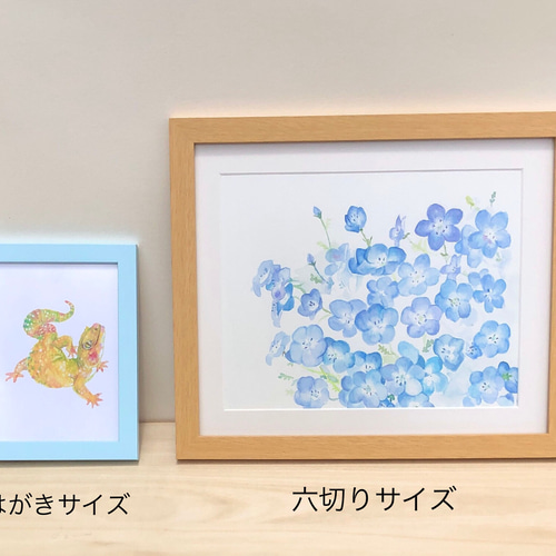 水彩画「ネモフィラ」 複製画 額装•マット付き 絵画 てんまだて しほ
