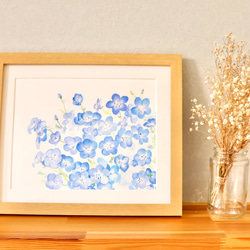 水彩画「ネモフィラ」　複製画　額装•マット付き　 2枚目の画像