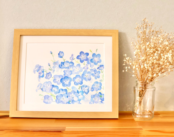 水彩画「ネモフィラ」　複製画　額装•マット付き　 2枚目の画像