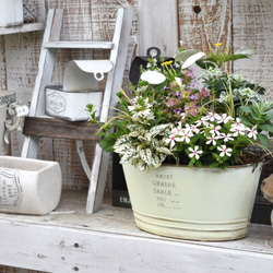 31c35a23b6df2af935dbc5b0efd1f8