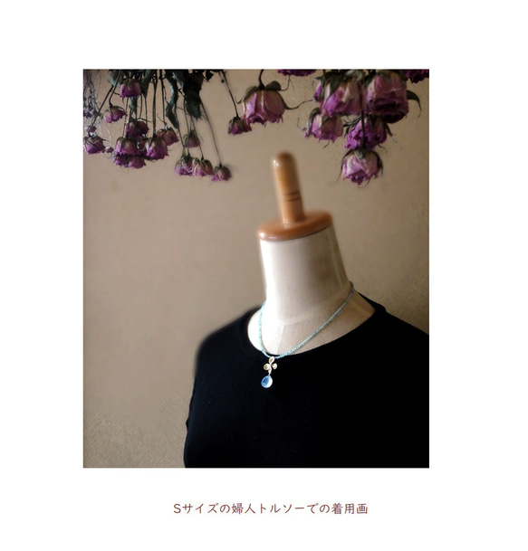  第7張的照片