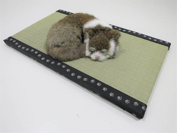 ねこ専用