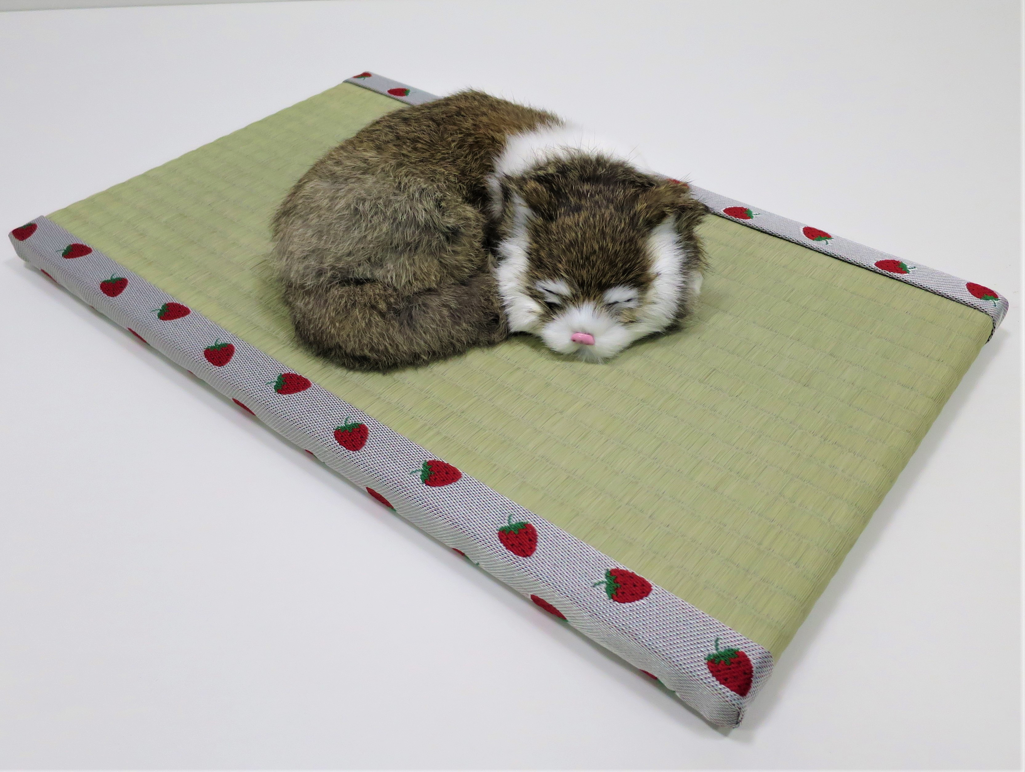 ねこ専用畳”ねこふんじゃった”