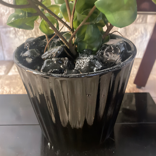 光触媒 人工観葉植物 ウォールグリーン フェイクグリーン ベンジャミン