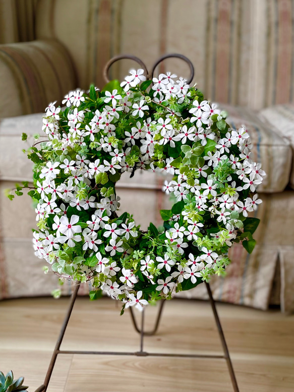 最高級のスーパー 日日草 フェアリースターの寄せ植えリース 幸せのwreath ☆*:.｡. 鉢花
