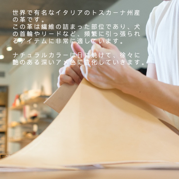 犬用リード 肩掛けショルダーリード カフェリード イタリアンレザー シンプルデザイン