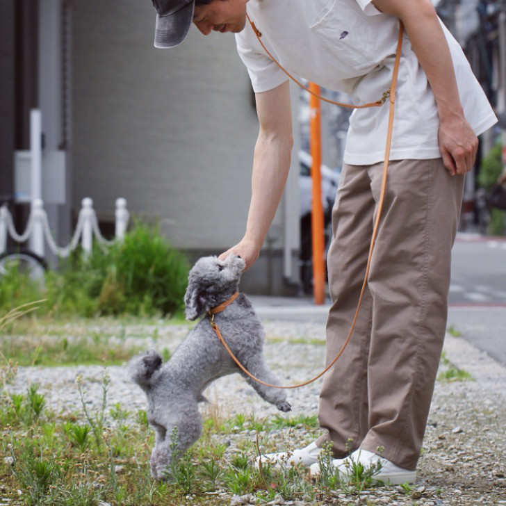 犬用リード 肩掛けショルダーリード カフェリード イタリアンレザー シンプルデザイン