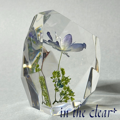オープンセール 福袋 紫 額紫陽花 植物標本 レジン in ハーバリウム・植物標本 鉱石型 科学・サイエンス