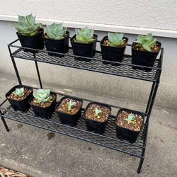 アイアンラック】プラントラック ボタニカルシェルフ アイアンシェルフ