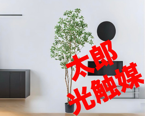 光触媒　人工観葉植物　ウォールグリーン　フェイクグリーン　アセビ210 光触媒 人工観葉植物 ウォールグリーン フェイクグリーン アセビ210