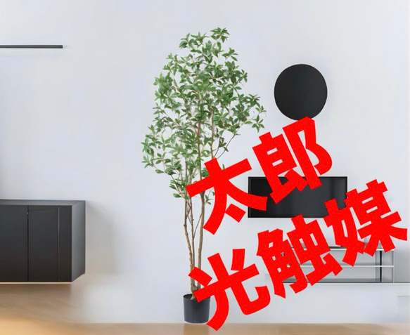 光触媒　人工観葉植物　ウォールグリーン　フェイクグリーン　アセビ210 光触媒 人工観葉植物 ウォールグリーン フェイクグリーン アセビ