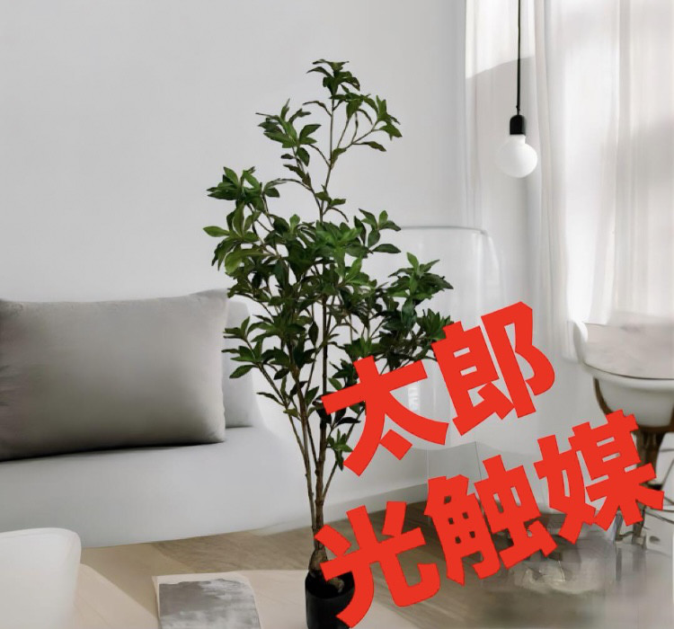 光触媒　人工観葉植物　ウォールグリーン　フェイクグリーン　アセビ150