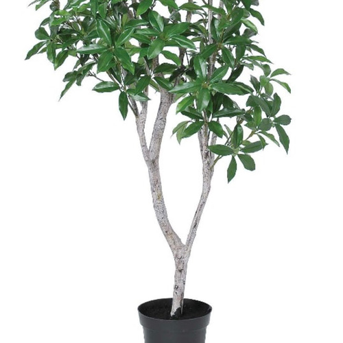 光触媒 人工観葉植物 ウォールグリーン フェイクグリーン 光触媒 人工観葉植物 ウォールグリーン フェイクグリーン