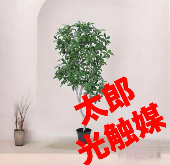 光触媒 人工観葉植物 ウォールグリーン フェイクグリーン 光触媒 人工観葉植物 ウォールグリーン フェイクグリーン