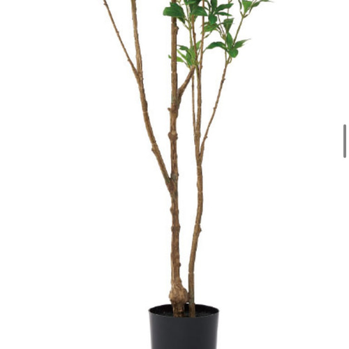 光触媒　人工観葉植物　ウォールグリーン　フェイクグリーン　アセビ175@ 光触媒 人工観葉植物 ウォールグリーン フェイクグリーン アセビ