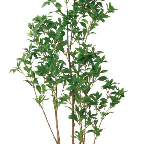 光触媒　人工観葉植物　ウォールグリーン　フェイクグリーン　アセビ175@ 光触媒 人工観葉植物 ウォールグリーン フェイクグリーン アセビ