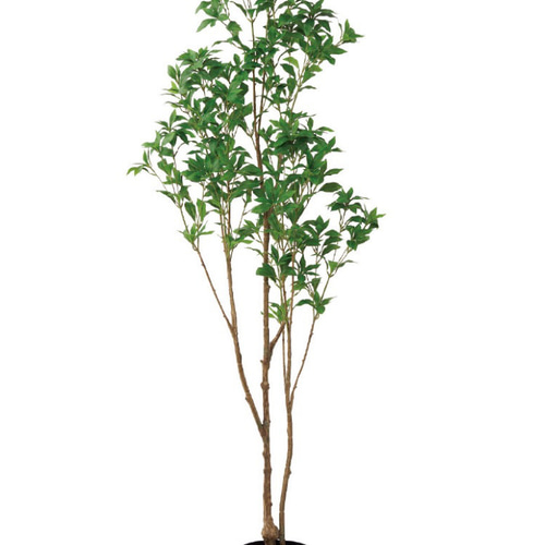 光触媒　人工観葉植物　ウォールグリーン　フェイクグリーン　アセビ175@ 光触媒 人工観葉植物 ウォールグリーン フェイクグリーン アセビ