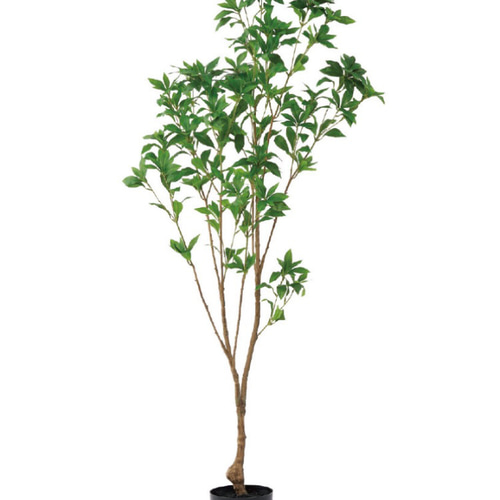 光触媒　人工観葉植物　ウォールグリーン　フェイクグリーン　アセビ150 光触媒 人工観葉植物 ウォールグリーン フェイクグリーン アセビ