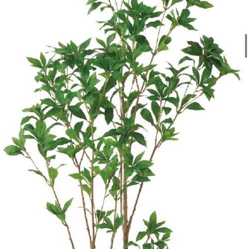 光触媒　人工観葉植物　ウォールグリーン　フェイクグリーン　アセビ150 光触媒 人工観葉植物 ウォールグリーン フェイクグリーン アセビ