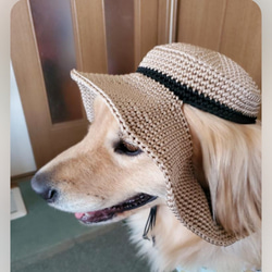 犬の帽子☆リボンの麦わら帽子風☆ホワイト ペット服