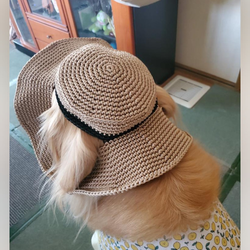 大型犬の帽子 カンカン帽☆フレッシュ ペット服・アクセサリー