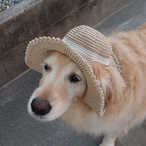 【Yy】大型犬の帽子　　麦わら帽子風　ローズピンク　ハンドメイド 大型犬の帽子 麦わら帽子風☆コーンシルク ペット服・アクセサリー Na