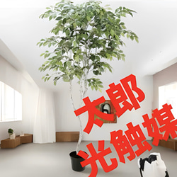 光触媒　人工観葉植物　ウォールグリーン　フェイクグリーン　フィカスツリー182 光触媒 人工観葉植物 ウォールグリーン フェイクグリーン フィカス