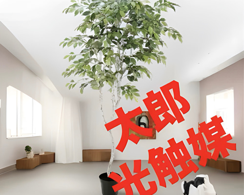 光触媒 人工観葉植物 ウォールグリーン フェイクグリーン フィカス