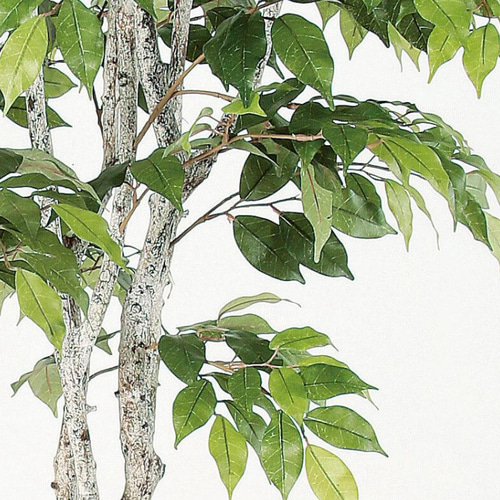 光触媒 人工観葉植物 ウォールグリーン フェイクグリーン
