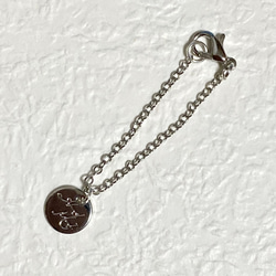 CHANEL シルバー プレートネックレス お*と様 CHANEL シルバー ネックレス - メルカリ