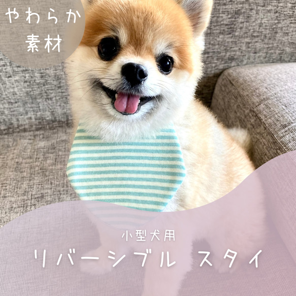 小型犬用 スタイ おもちゃ・ペット小物 Jiro-Pro 通販 17917267