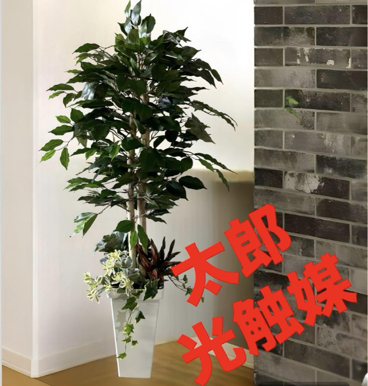 光触媒 人工観葉植物 ウォールグリーン フェイクグリーン クワズイモ