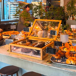 セミオーダー可能】ショーケース ディスプレイ アクセサリー アパレル