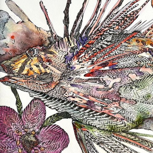 原画】【一点物】『カサゴと花』 絵画 MOCO 通販 17918591