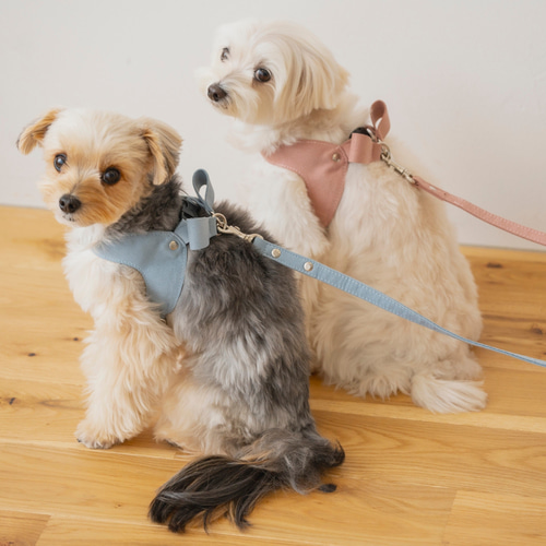 CDOｰSLBS10RS〈TN〉】犬の首輪〈サイズ「XXS」〉 牛革 人気