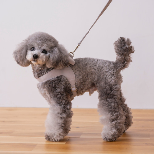 CDOｰSLBS10RS〈TN〉】犬の首輪〈サイズ「XS」〉 牛革 人気