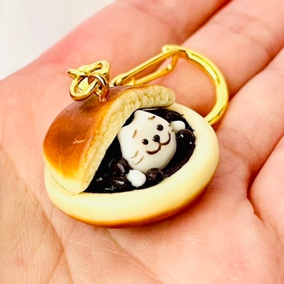  第5張的照片