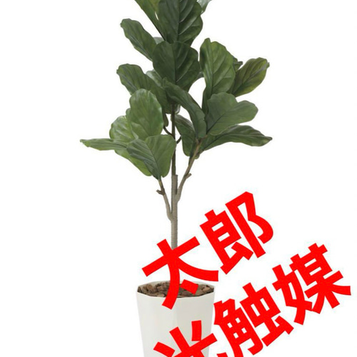 光触媒 人工観葉植物 ウォールグリーン フェイクグリーン