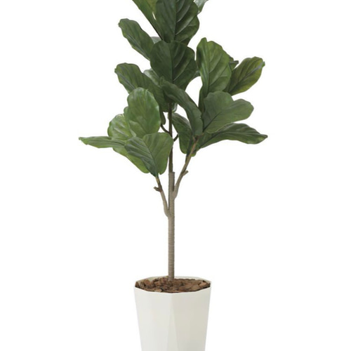 光触媒　人工観葉植物　ウォールグリーン　フェイクグリーン　カシワバゴム1.25 光触媒 人工観葉植物 ウォールグリーン フェイクグリーン カシワバゴム