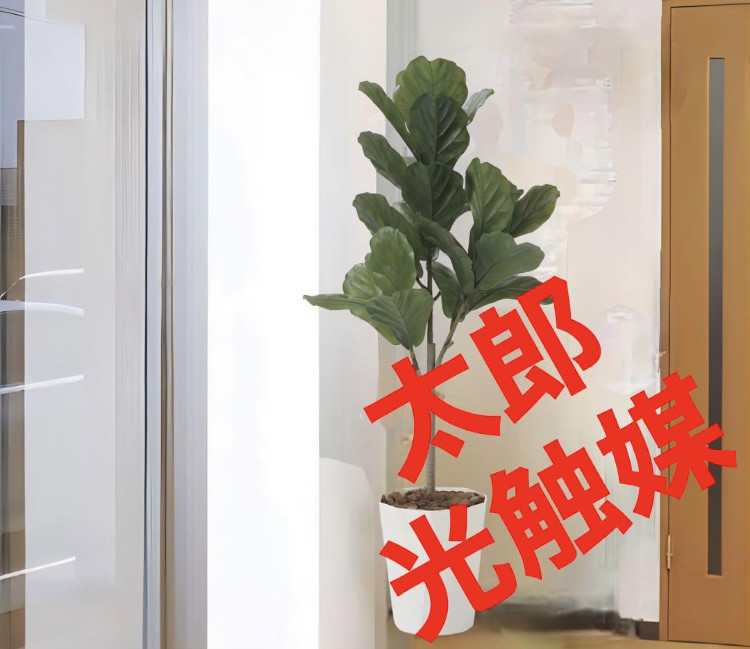 光触媒　人工観葉植物　ウォールグリーン　フェイクグリーン　カシワバゴム1.25 光触媒 人工観葉植物 ウォールグリーン フェイクグリーン カシワバゴム