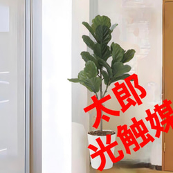 光触媒　人工観葉植物　ウォールグリーン　フェイクグリーン　カシワバゴム1.25 光触媒 人工観葉植物 ウォールグリーン フェイクグリーン カシワバゴム