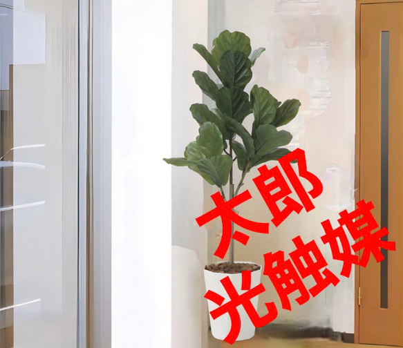 光触媒　人工観葉植物　ウォールグリーン　フェイクグリーン　カシワバゴム1.25 光触媒 人工観葉植物 ウォールグリーン フェイクグリーン