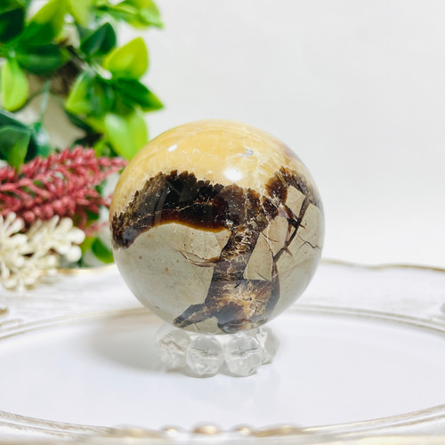 セプタリアン／スフィア／ドラゴンストーン その他インテリア雑貨