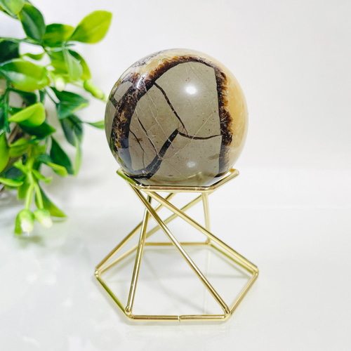 セプタリアン／スフィア／ドラゴンストーン その他インテリア雑貨