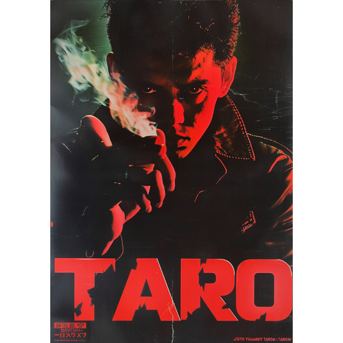 おふざけレトロ映画ポスター 名入れ オリジナル A4 写真